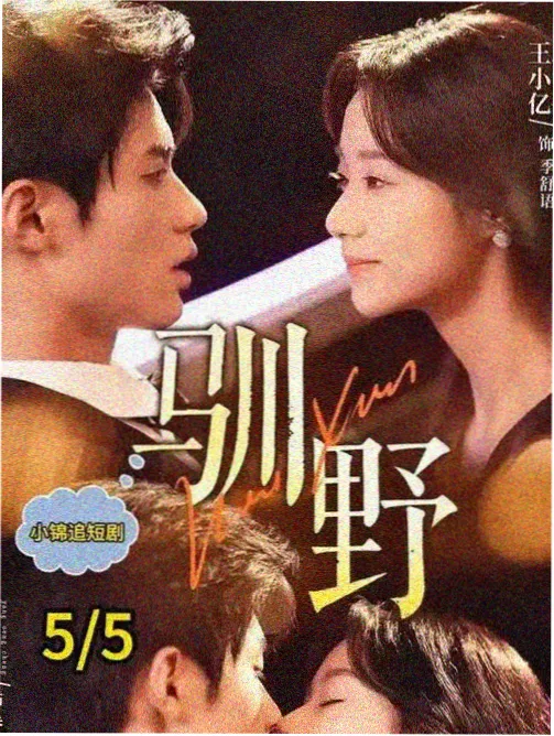 雾港谜案 海报